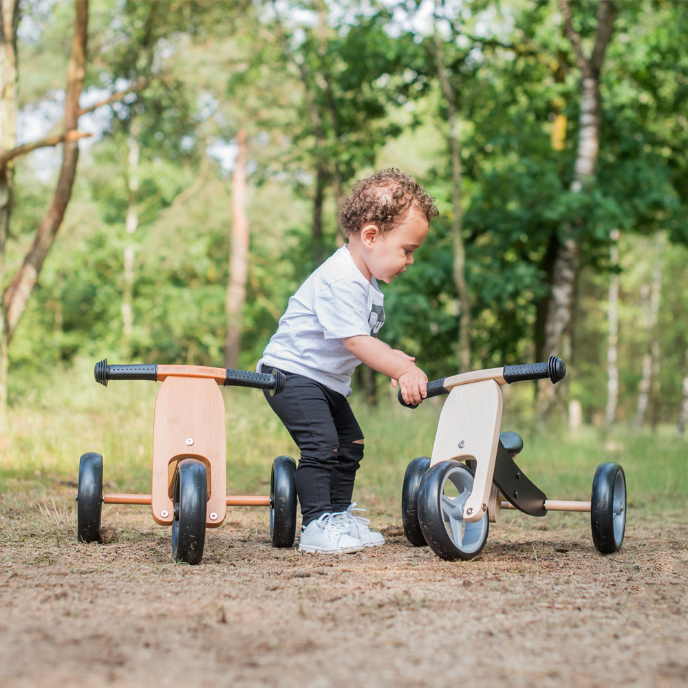 bandits and angels smart bike 4 in 1